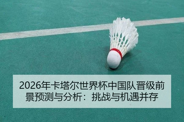 nian-ka-ta-er-shi-jie-bei-zhong-guo-dui-jin-ji-qian-jing-yu-ce-yu-fen-xi-tiao-zhan-yu-ji-yu-bing-cun-2-228.jpg